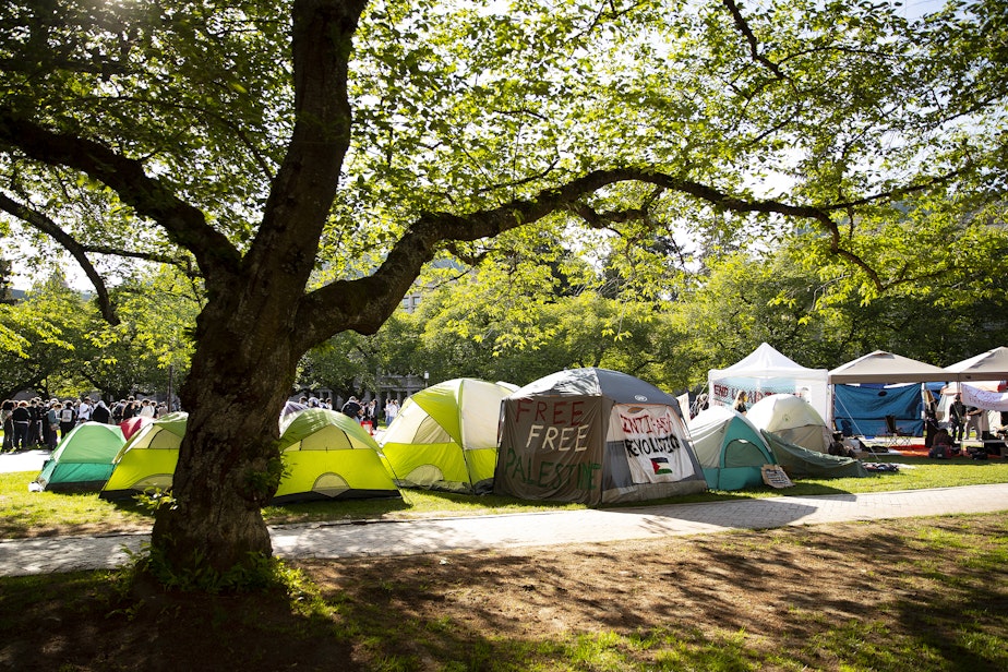 caption: A growing number of tents are shown at the UW Palestine Encampment on Wednesday, May 1, 2024, on the University of Washington Quad in Seattle.