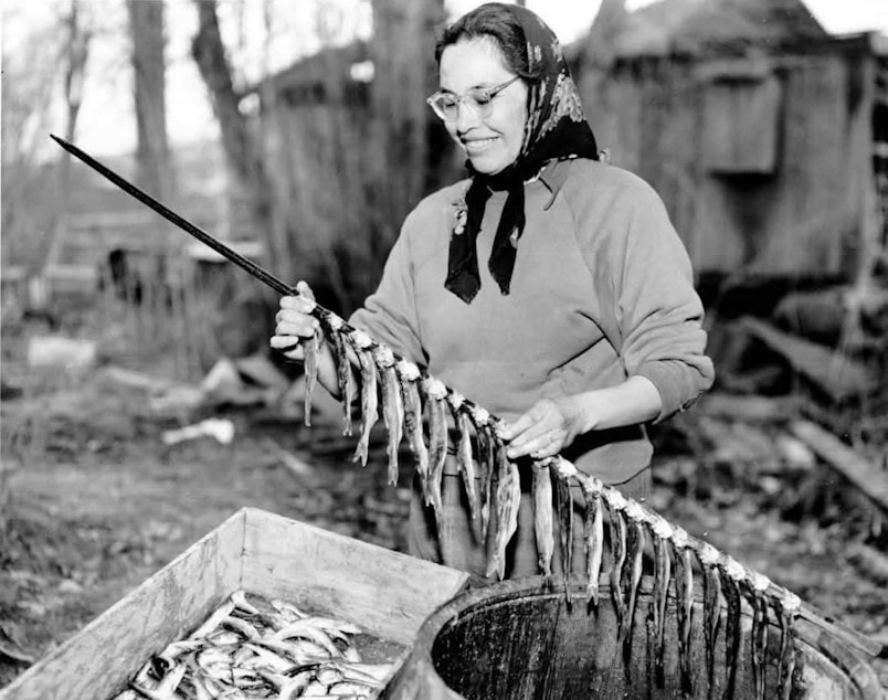 caption: Cowlitz tribal member Jacqueline Wannassay Hill strings Columbia River smelt, also known as hooligan or eulachon, beside Washington's Cowlitz River in 1954.