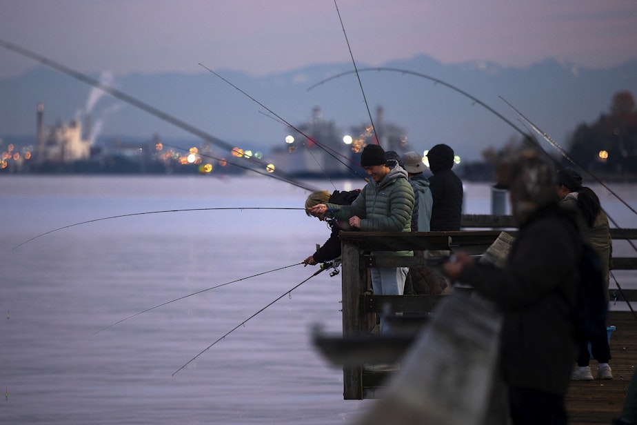 caption: Kody, 26, of Denver, squids on Friday, November 17, 2023, from Les Davis Pier in Tacoma.