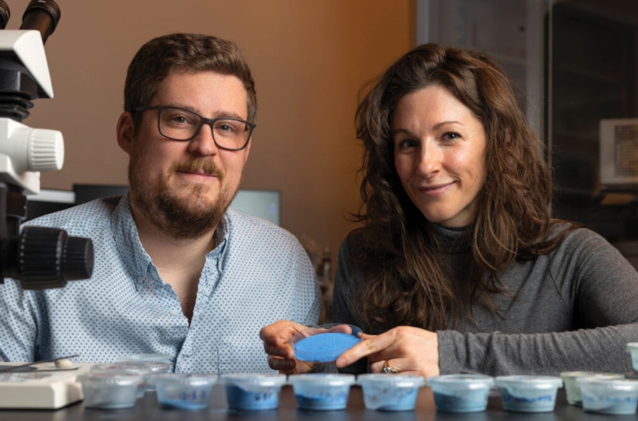 caption: Travis Olds, left, and Lisa Haney with powders the WSU team created for their research into Egyptian blue.