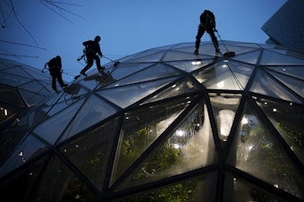 caption: ABM employees wash the Spheres on Thursday, January 24, 2019, in  Seattle. KUOW Photo/Megan Farmer 