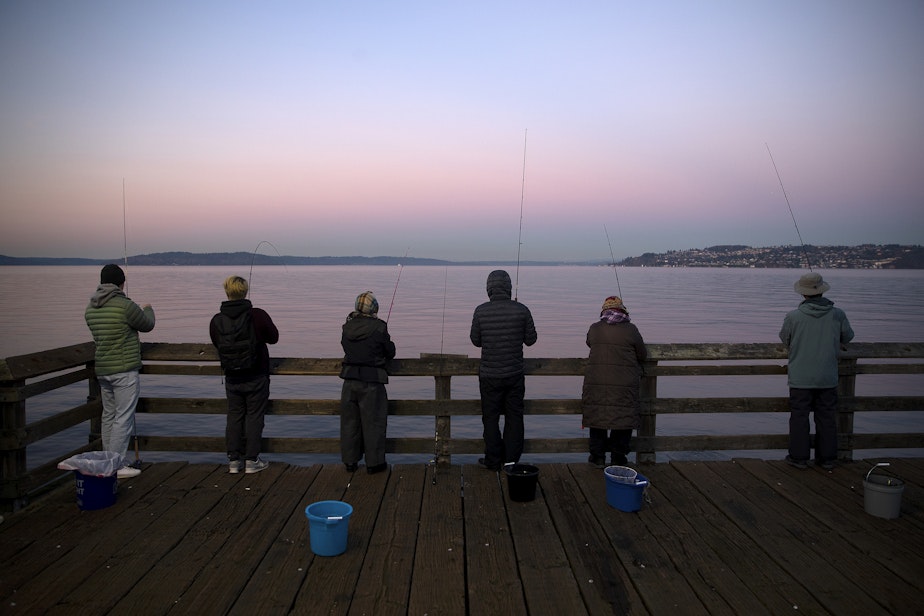 caption: A line of people squid from Les Davis Pier on Friday, Nov. 17, 2023, in Tacoma.