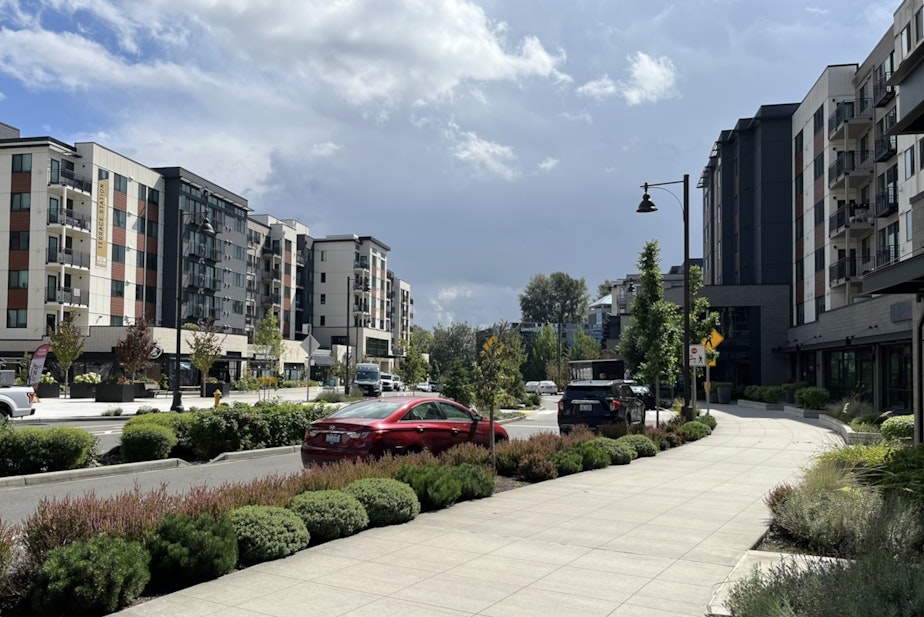 caption: Mountlake Terrace's new neighborhood just south of the light rail station