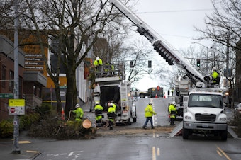 caption: Crews work to clear North 45th Street after heavy winds caused a large tree to fall, blocking the road, onTuesday, February 25, 2025, in Seattle’s Wallingford neighborhood. 