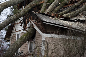 caption: A large tree that has fallen on a home following heavy winds sent by a "bomb cyclone" in the Pacific Ocean, is shown on Nov. 21, 2024, in Snohomish, Washington. 