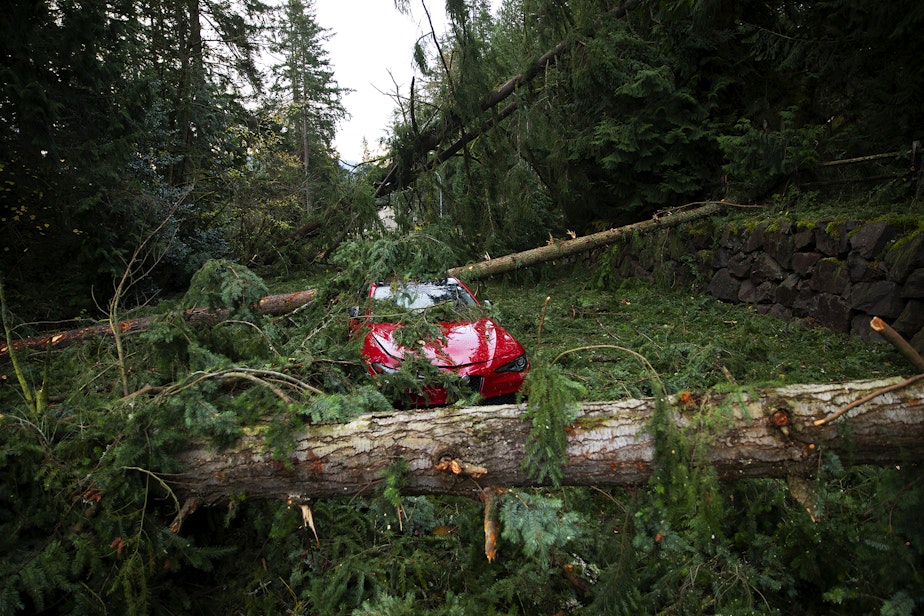 caption: A car sits abandoned surrounded by fallen trees and debris on Thursday, November 21, 2024, along Northup Way in Bellevue. Heavy winds throughout the region were sent by a bomb cyclone roughly 300 miles away in the Pacific Ocean.