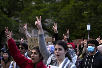 caption: Students and protesters raise peace signs in the air while listening to speakers at the UW encampment for Palestine on Tuesday, May 7, 2024, at the University of Washington Quad in Seattle. 