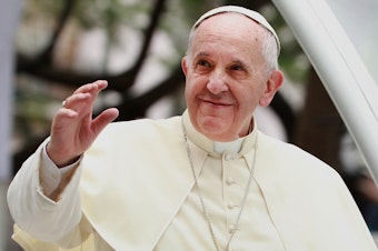 caption: Pope Francis is a staunch advocate for addressing climate change.