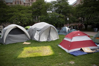 caption: An imprint of a tent is shown in the grass on the University of Washington Quad following an agreement between student protesters and the University to remove the encampment on Friday, May 17, 2024, in Seattle. 