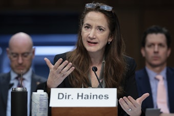 caption: Director of National Intelligence Avril Haines testifying before a Senate hearing earlier this month. During a May 15 hearing, she identified Russia as the greatest foreign threat to this year's U.S. elections.