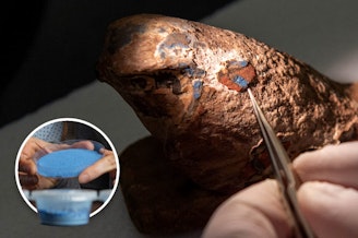 caption: An ancient wooden Egyptian falcon. Inset: A powder developed by WSU for research into Egyptian blue. (Composite featuring photos by Matt Unger and Joshua Franzos, Carnegie Museum of Natural History)