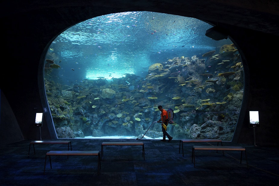 caption: “The Reef,” a nearly-500,000-gallon-habitat is shown on Tuesday, August 27, 2024, at the Seattle Aquarium’s new Ocean Pavilion in Seattle.