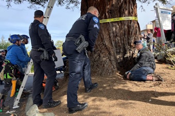 caption: Edmonds police try to convince protester Gabriel LaValle to move so workers can safely remove a six-foot diameter California coastal redwood from a condominium's parking lot in Edmonds