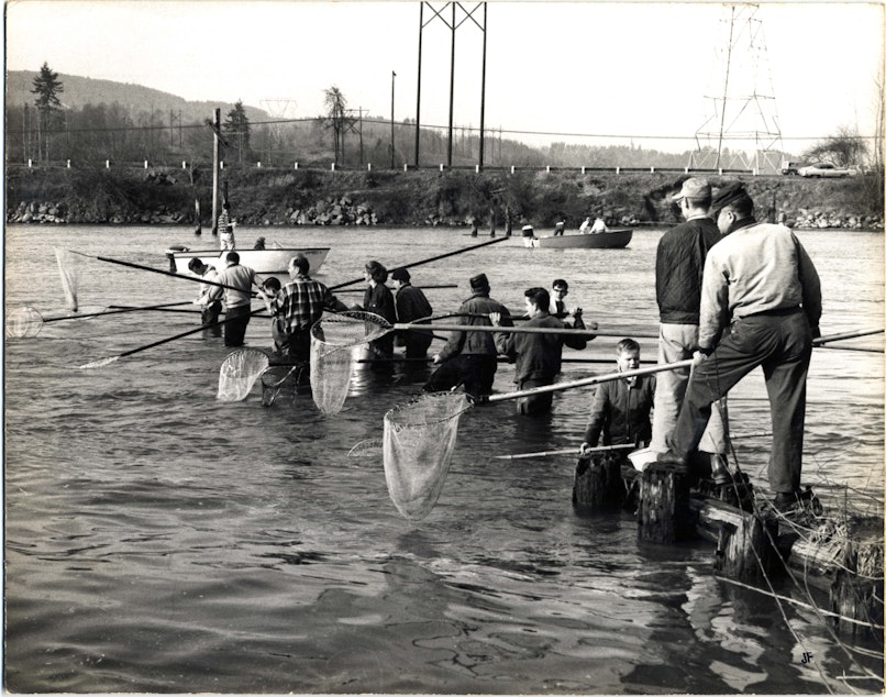 caption: Dipnetters harvest eulachon in the Cowlitz River in an undated photo from the 1960s.