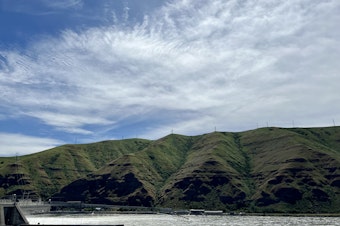 caption:  Lower Granite Dame