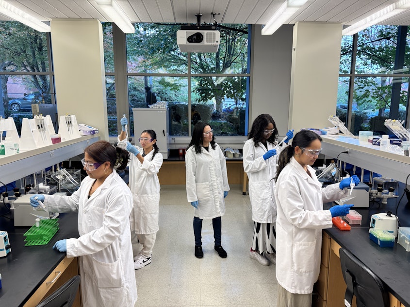 caption: (Left to right) Yennifer Gaspar, Mhicca Dalere, Dr. Tracie Delgado, Angelique Djekoundade, and Jewel Garcia, test samples for their salmon labeling study.