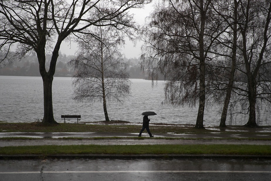 caption: A pedestrian walks along Green Lake on Friday, December 20, 2019, in Seattle.