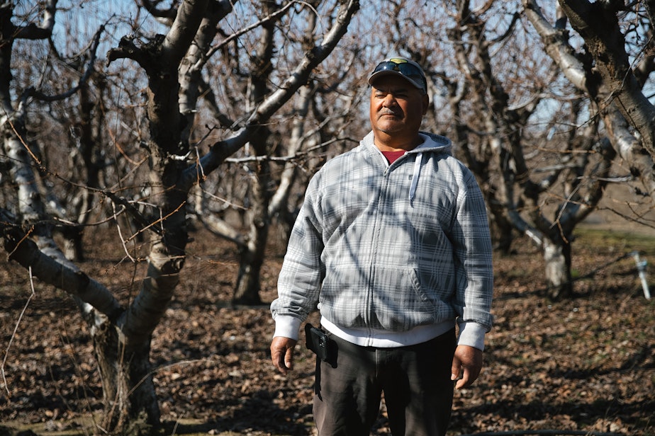 caption: Felipe Avalos, who received amnesty, is portrayed on Monday, March 10, 2025, at Carpenter Ranch in Granger, Washington.