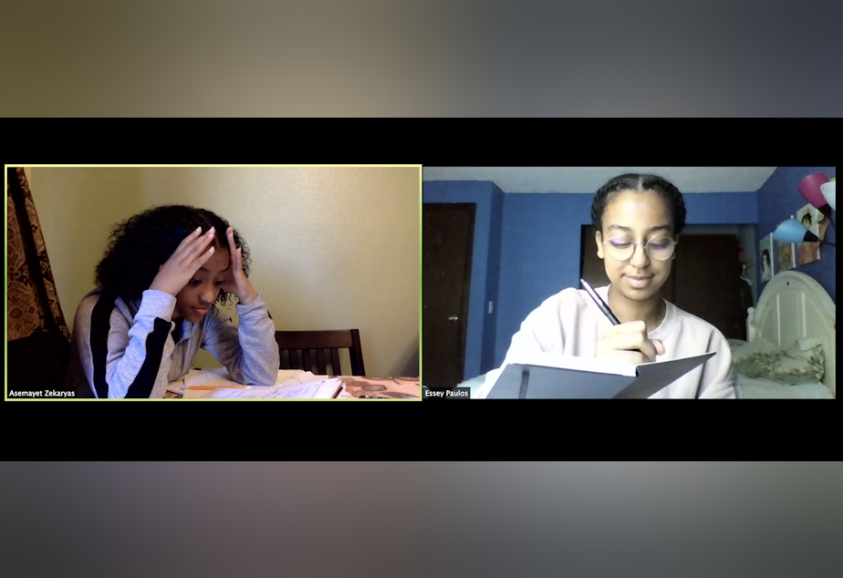 caption: Hosts Asemayet "Mimi" Zekaryas and Essey Paulos pose for a photo on Zoom. As many schools switch to online learning due to Covid-19, some students thrive while others fall behind. How does inequities in school funding play a part in these disparities, and which students are the most vulnerable?