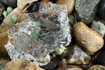 caption: Alli McCrite reports that she saw gelatinous blobs rain from the sky over her home in Rochester, Wash. on April 8, 2025. While the gooey incident was bizarre, as a local she knew this was not the first time something like this has happened in Southwest Washington. She collected a few blobs in a jar, but they melted at room temperature. 